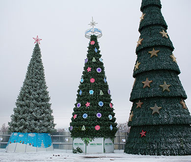 Каркасные ёлки в Пскове